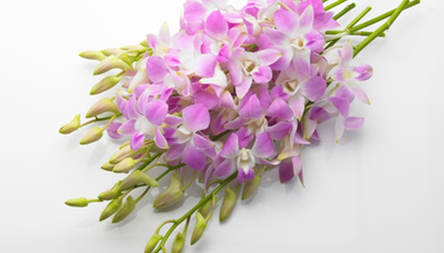 Colorful flowers add vibrancy to candelabras. Colorful flowers add vibrancy to candelabras.