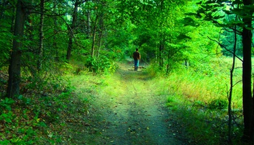 Librans love natural beauty and peacefulness. Librans love natural beauty and peacefulness.