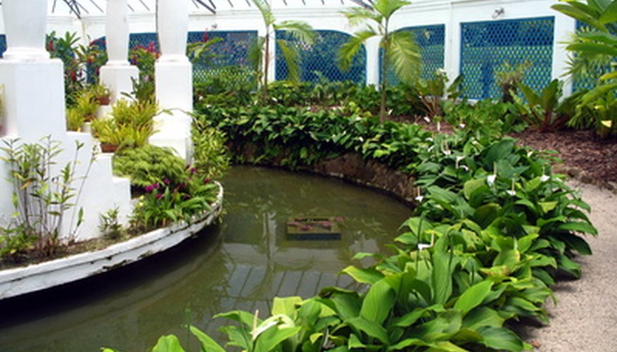 A hydroponics system requires a greenhouse for optimal conditions. A hydroponics system requires a greenhouse for optimal conditions.