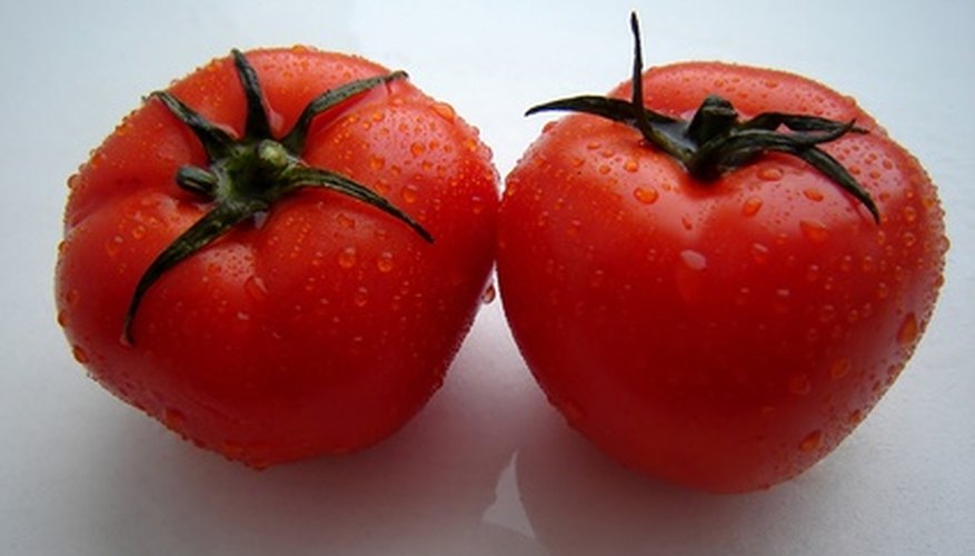 The aroma of a tomato frequently deters deer The aroma of a tomato frequently deters deer