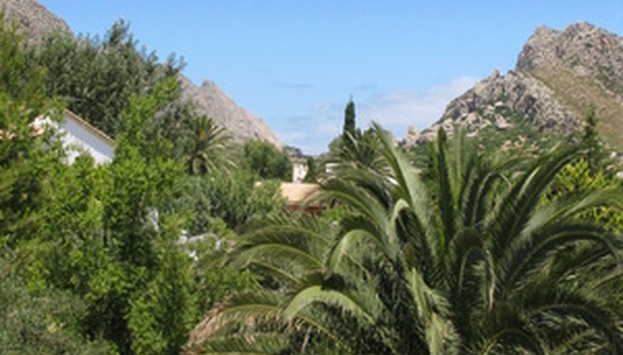 Spain's plants and animals are incredibly diverse. Spain's plants and animals are incredibly diverse.
