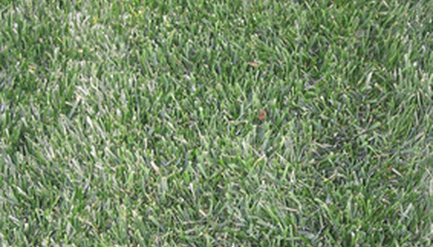 Grass sod prevents erosion. Grass sod prevents erosion.