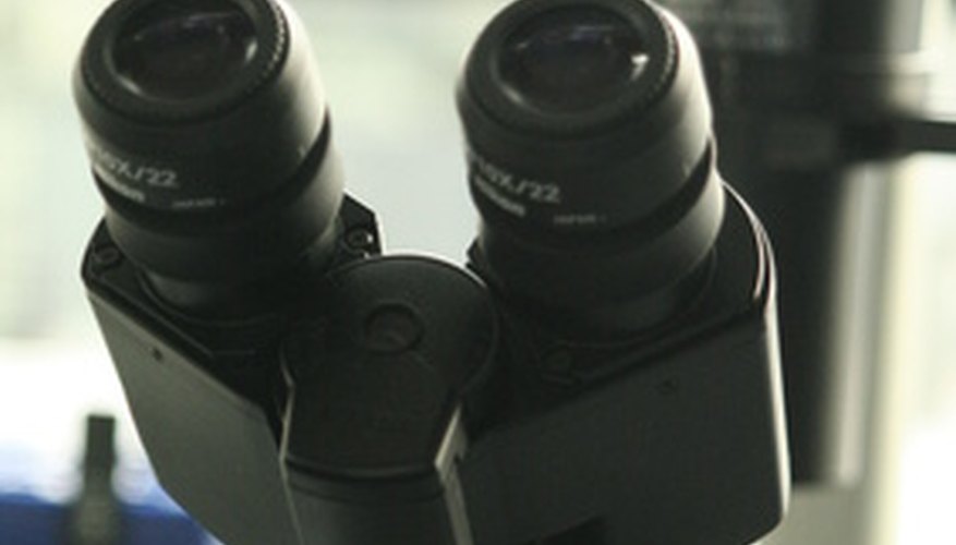 Microscopes enabled the discovery of things that previously could only be imagined. Microscopes enabled the discovery of things that previously could only be imagined.