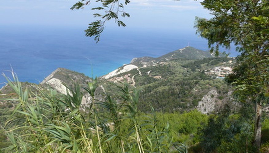 Much of Greece's flora are used in Greek mythology. Much of Greece's flora are used in Greek mythology.