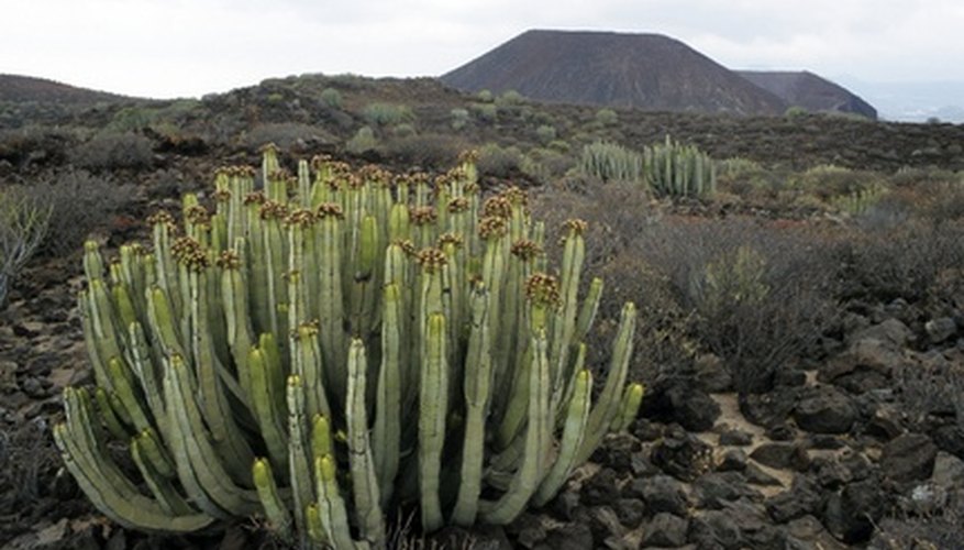 types-of-soil-their-uses-sciencing