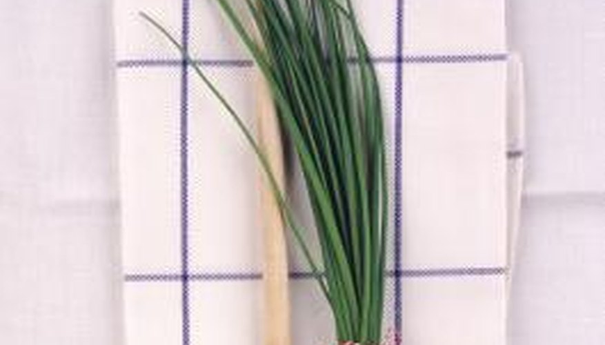 Chives thrive in cool, early spring weather. Chives thrive in cool, early spring weather.
