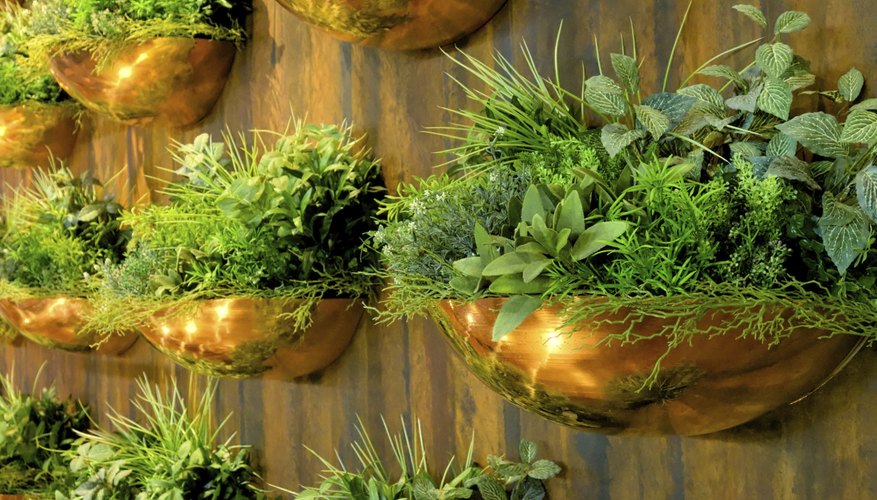 Fresh herbs can grow in a vertical wall garden. Fresh herbs can grow in a vertical wall garden.