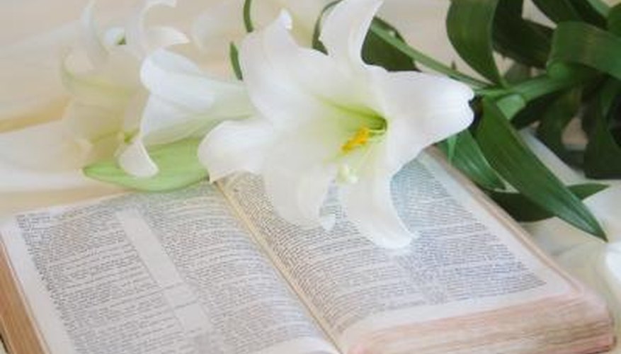 There is a strong link between the white lily and qualities of purity and modesty. There is a strong link between the white lily and qualities of purity and modesty.