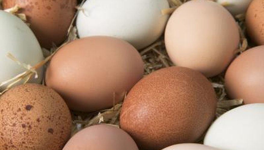 Close up of assorted eggs. Close up of assorted eggs.