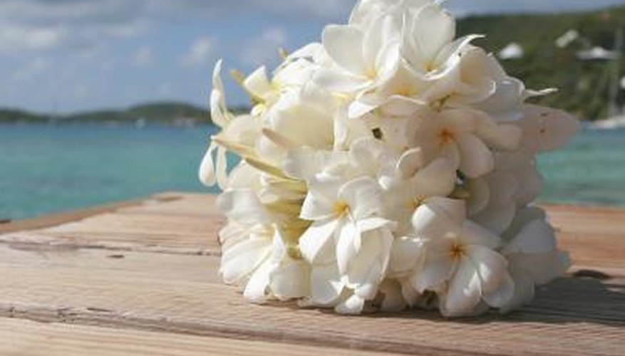 Tropical wedding bouquet of frangipani flowers Tropical wedding bouquet of frangipani flowers