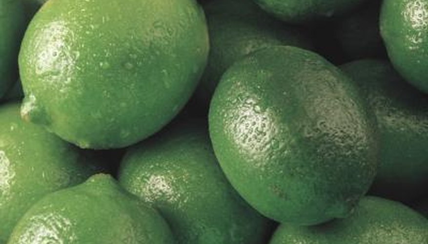 There are seven types of limes. There are seven types of limes.