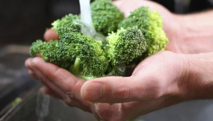 Broccoli tolerates fall frost but not summer heat. Broccoli tolerates fall frost but not summer heat.