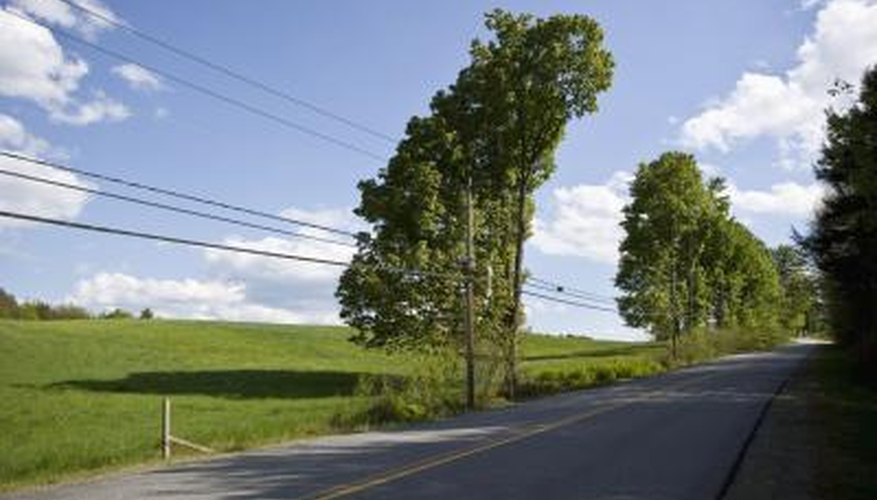 Local power companies are responsible for keeping most trees out of electric wires. Local power companies are responsible for keeping most trees out of electric wires.