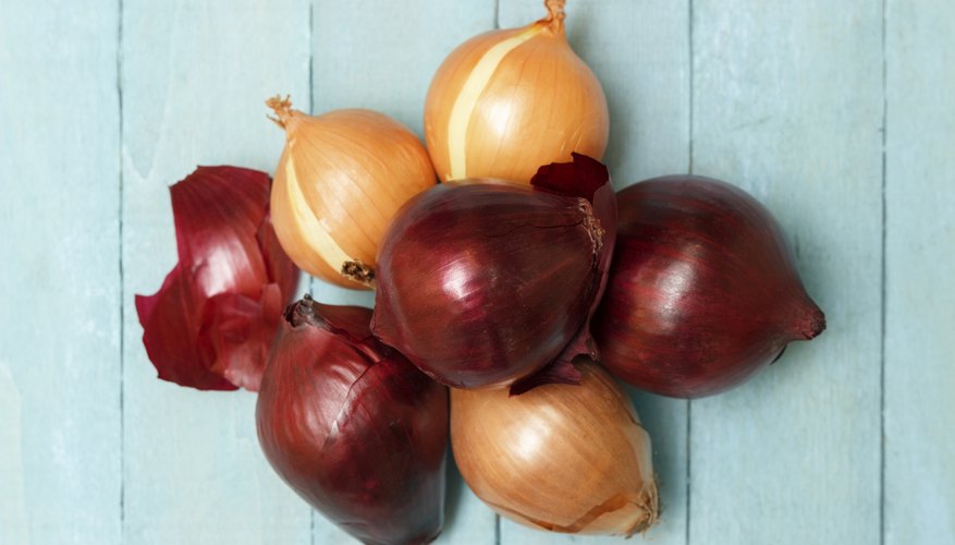 Round or globe-shaped onion bulbs usually have a pungent flavor. Round or globe-shaped onion bulbs usually have a pungent flavor.