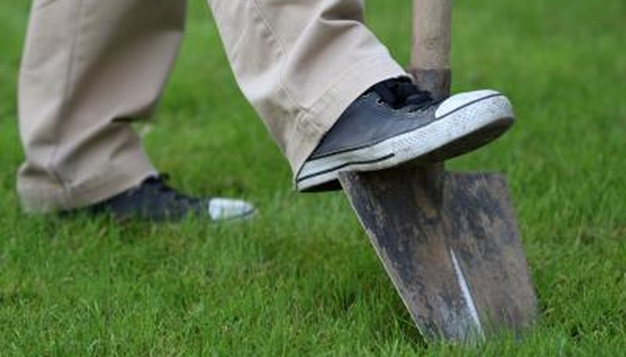 Man digs hole in gardne Man digs hole in gardne