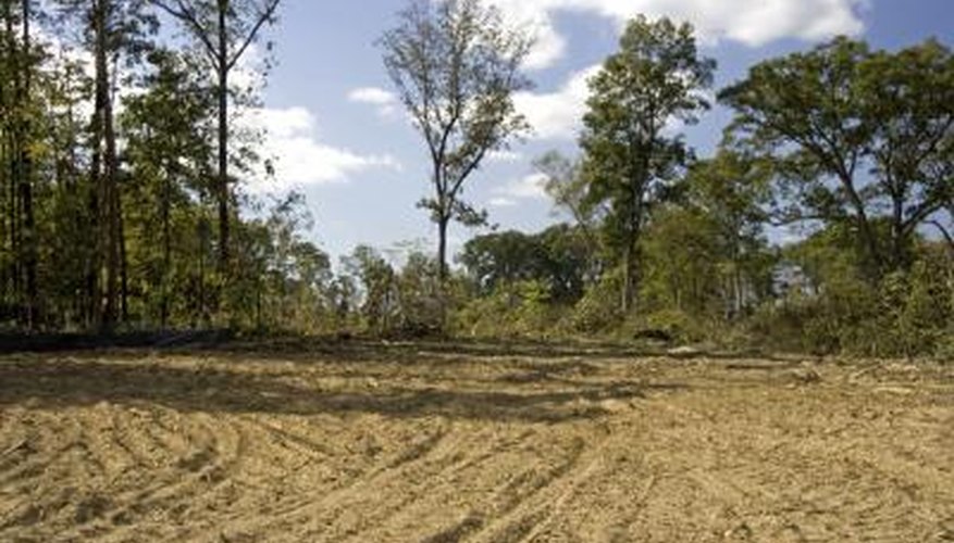 human population increase causes land to be cleared. human population increase causes land to be cleared.