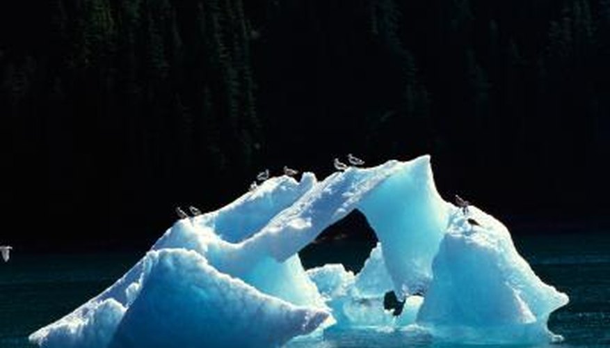 Global warming is also a factor in the destruction of the ecosystem. Global warming is also a factor in the destruction of the ecosystem.