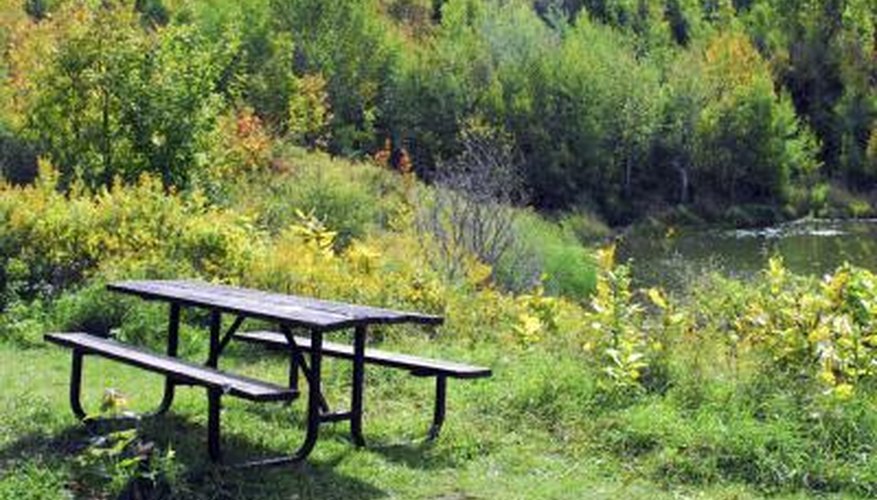 Temperate Woodland & Shrubland Flowers Sciencing