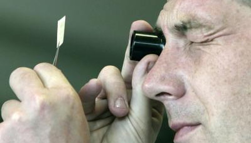 Stamp examination by professional collector Stamp examination by professional collector