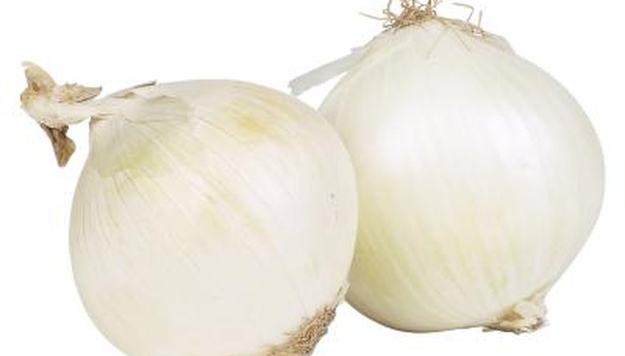 Onions Onions