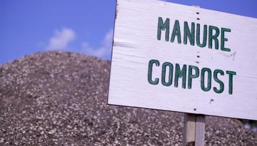 Manure enriches the soil with micro-organisms and nutrients. Manure enriches the soil with micro-organisms and nutrients.