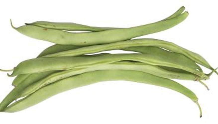 Snap Beans Snap Beans