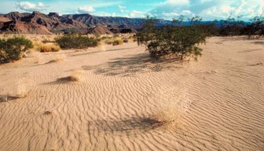 View of the Mojave Desert in Arizona View of the Mojave Desert in Arizona