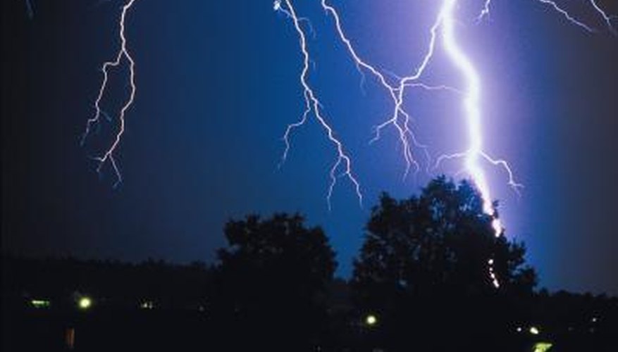 Install a lightning rod if you have a particularly vulnerable or valuable tree. Install a lightning rod if you have a particularly vulnerable or valuable tree.
