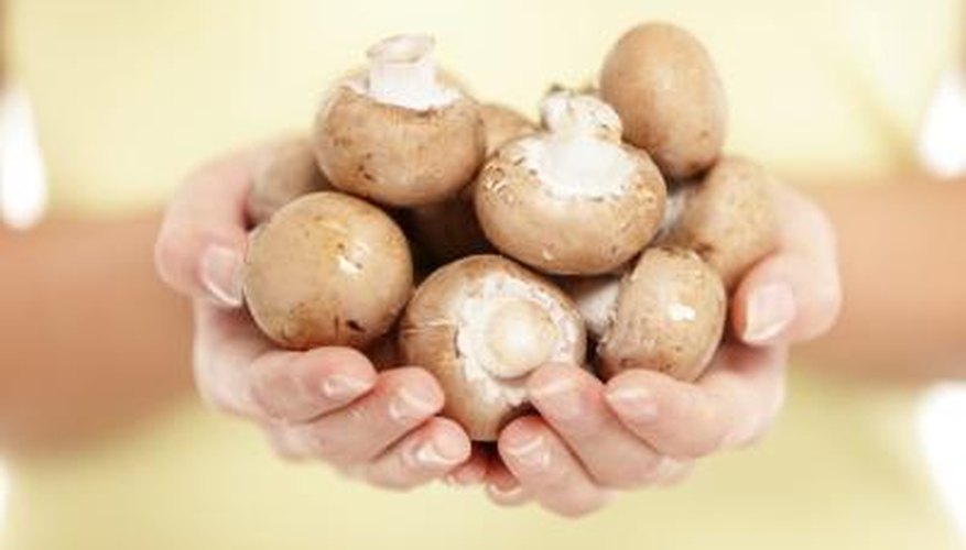 Be extremely cautious with wild mushrooms. Be extremely cautious with wild mushrooms.