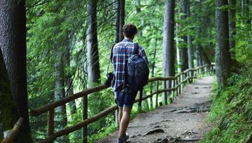 Understand the location and region of the trees you are photographing. Understand the location and region of the trees you are photographing.