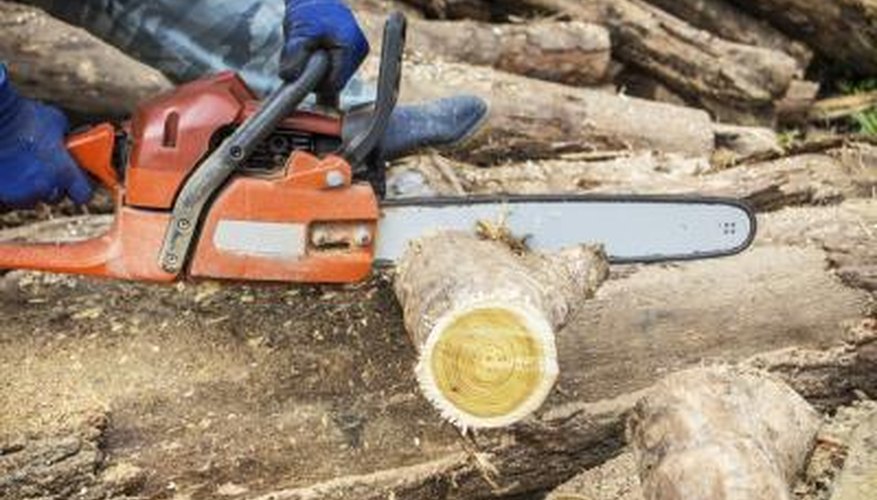 It may be more cost effective to hire work crews for a day. It may be more cost effective to hire work crews for a day.
