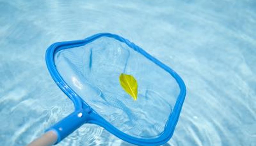 During regular upkeep, vacuum the pool. During regular upkeep, vacuum the pool.