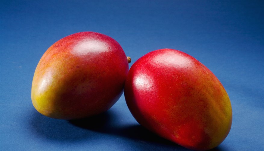 Commercial mangoes may be chemically treated to give them an attractive color. Commercial mangoes may be chemically treated to give them an attractive color.