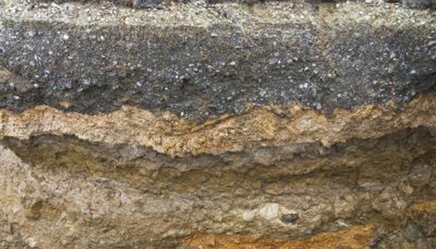 Clay soil. Clay soil.