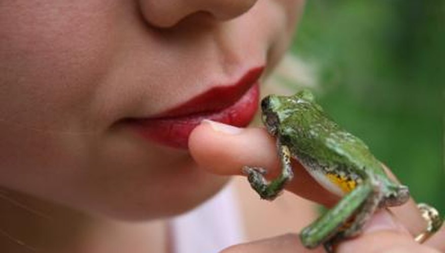 Humans and frogs both inhale and exhale through the mouth. Humans and frogs both inhale and exhale through the mouth.