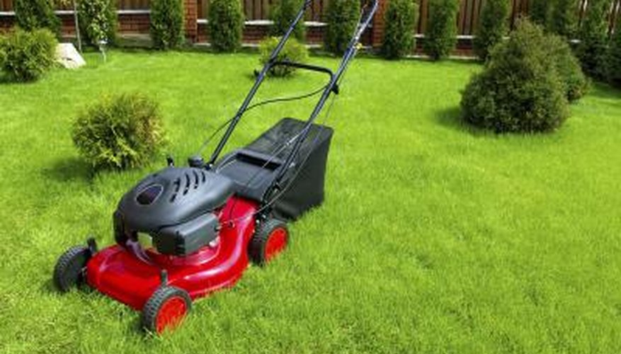 Red lawn mower on grass. Red lawn mower on grass.