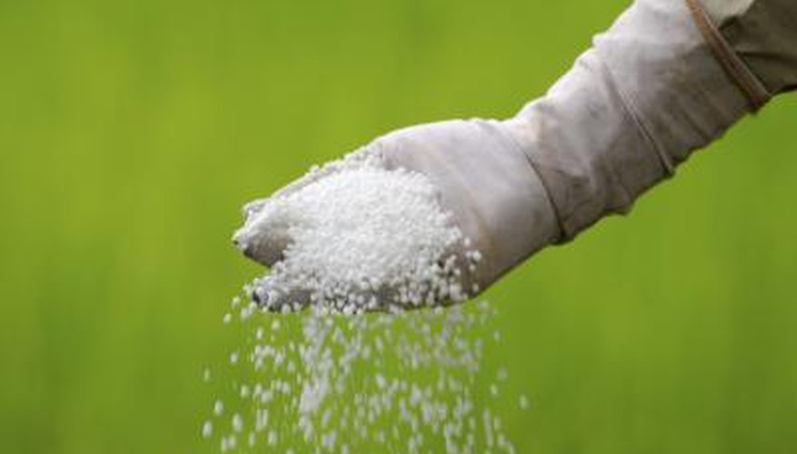 Nitrogen fertilizers in water encourages algae blooms. Nitrogen fertilizers in water encourages algae blooms.