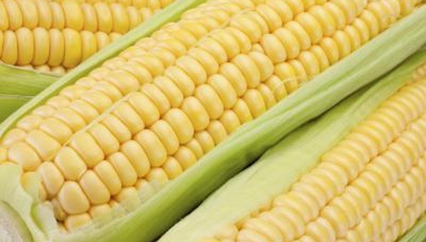 Corn has been grown for more than 7000 years Corn has been grown for more than 7000 years