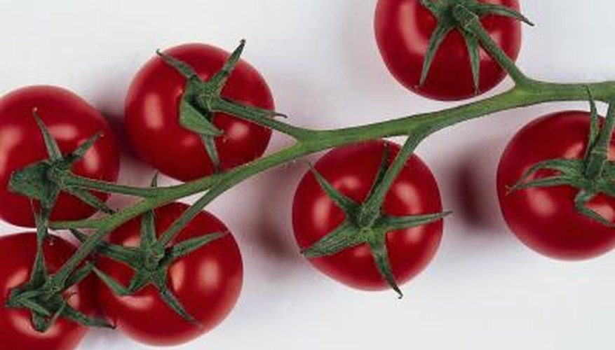 Tomatoes Tomatoes