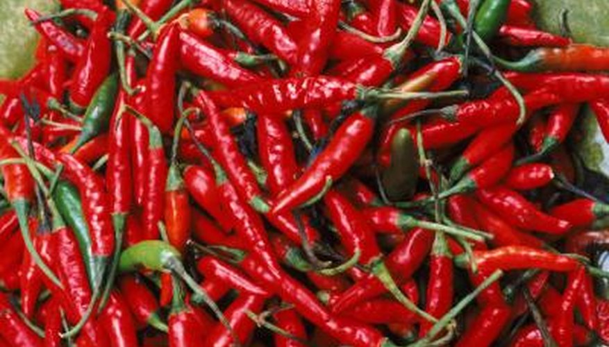 Chili peppers add fat-killing power as well as spicy flavor to foods. Chili peppers add fat-killing power as well as spicy flavor to foods.