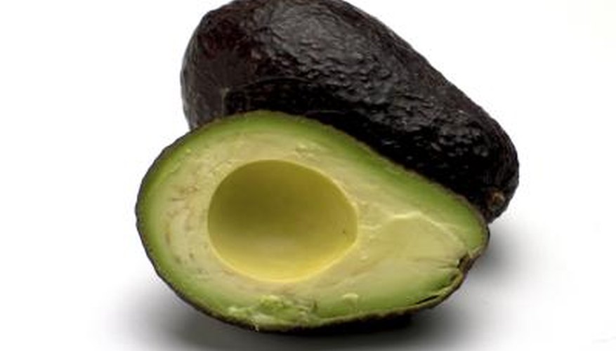 Avocados are rich in fat-killing, hunger-killing nutrients. Avocados are rich in fat-killing, hunger-killing nutrients.
