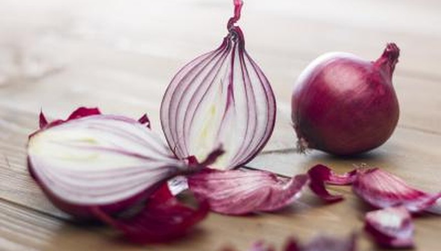 Onions are grown on Spain's Mediterranean coast. Onions are grown on Spain's Mediterranean coast.