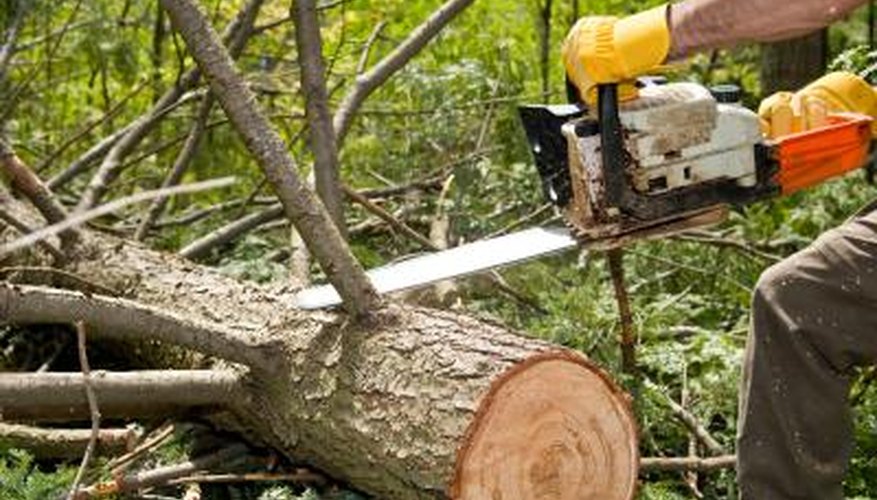 Larger trimmed branches may be pricier to dispose of. Larger trimmed branches may be pricier to dispose of.
