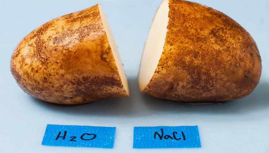 Science Experiments on the Osmosis of a Potato | Sciencing