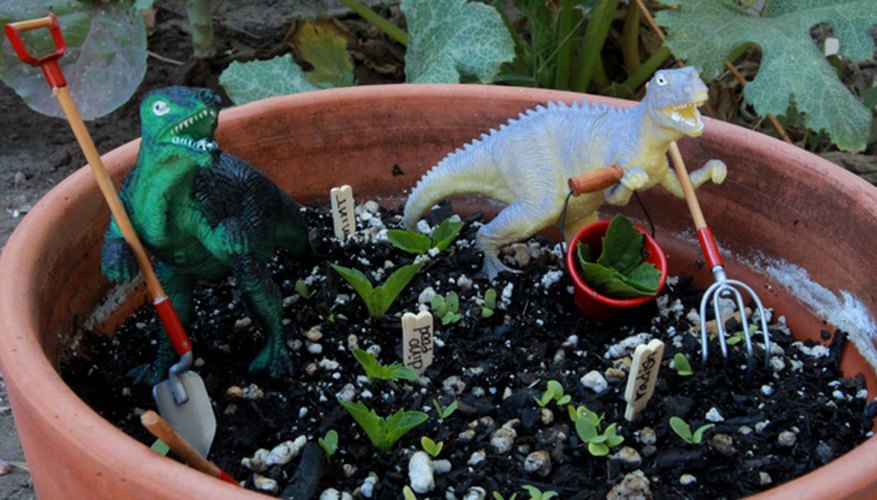 Jurassic Gardeners Jurassic Gardeners