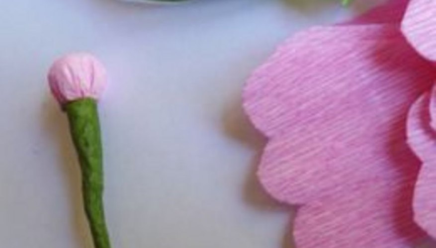 Photo Credit: Debbie Williams Cut out petals