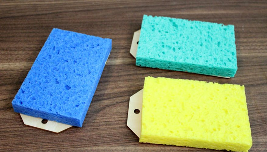 Place wet sponge on top of the paper Place wet sponge on top of the paper