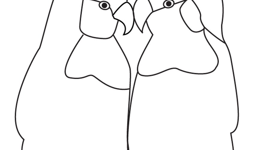 Print the lovebird template. Print the lovebird template.