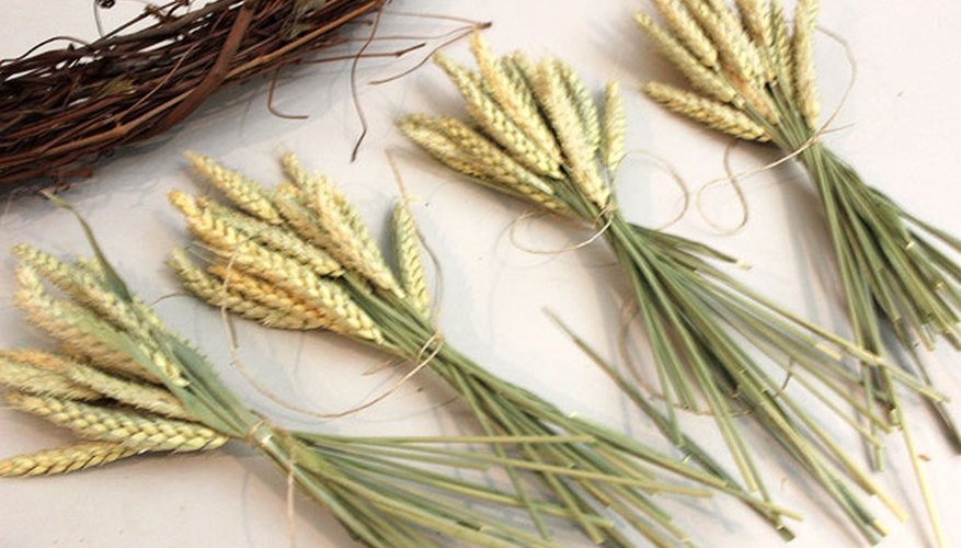 Photo Credit: Jonathan Fong Divide stalks into smaller bunches