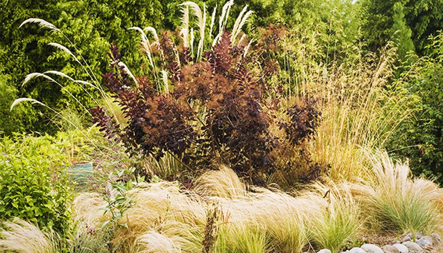 Xeriscaping also focuses on irrigation techniques and soil evaluation to create beautiful, water-thrifty gardens. Xeriscaping also focuses on irrigation techniques and soil evaluation to create beautiful, water-thrifty gardens.